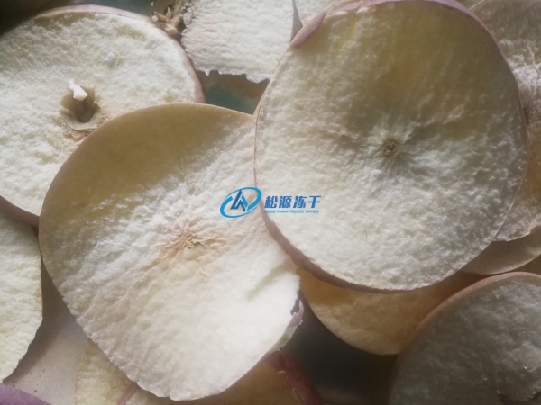探秘大型果蔬食品凍干機(jī)如何讓草莓在宇宙中跳舞